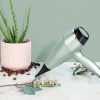 Remington-AC5860-Botanicals-Hajszarito
