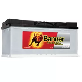 Professional-jobb-100Ah-900A-akk