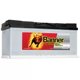 Professional-jobb-110Ah-900A-akk