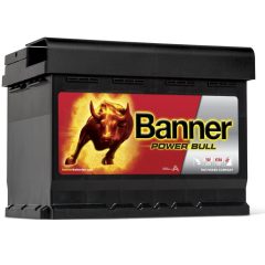 banner-power-bull-p6009_