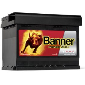 banner-power-bull-p6009_