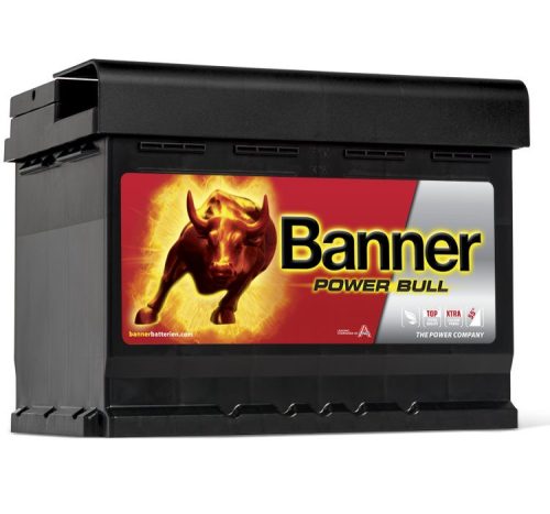 banner-power-bull-p6009_